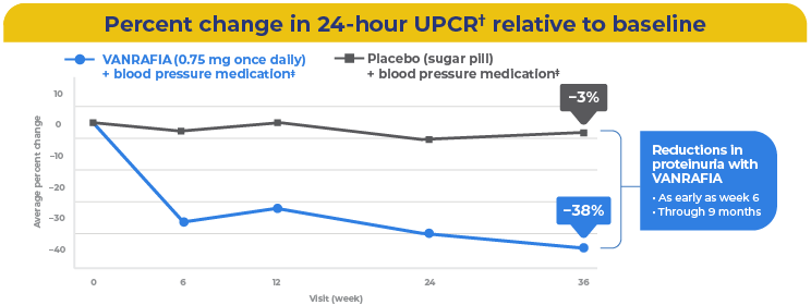 Percent change in 24-hour UPCR relative to baseline. Reductions in proteinuria with VANRAFIA: As soon as the first visit at 6 weeks. Through 9 months.