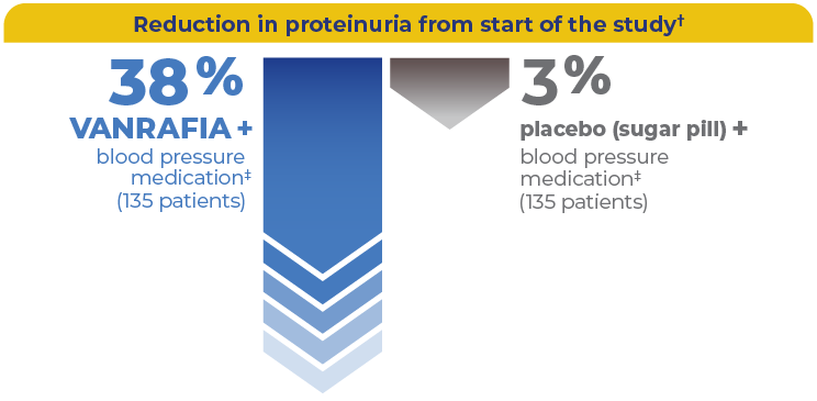 Reduction in proteinuria from start of the study 38% VANRAFIA + blood pressure medication vs 3% placebo + blood pressure medication