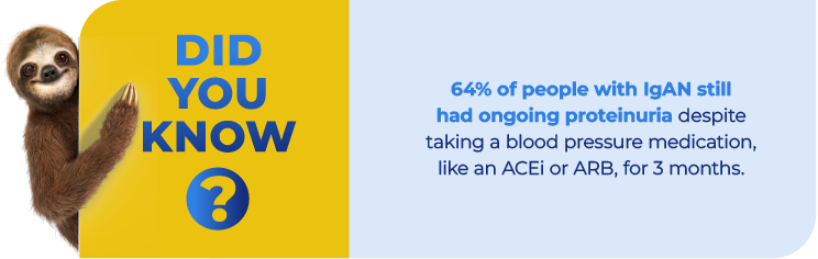 Did you know? 64% of people with IgAN still had ongoing proteinuria despite taking a blood pressure medication, like an ACEi or ARB, for 3 months.