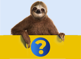 Sloth question image
